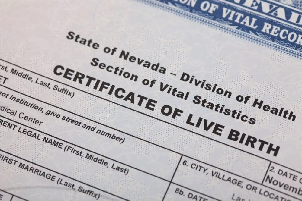 What Does A Birth Certificate Look Like?
