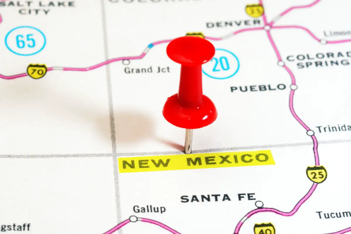How To Start An LLC In New Mexico
